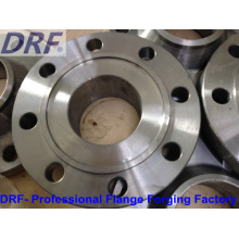 DIN Flange, Carbon Steel, Stainless Steel, Forging Flange